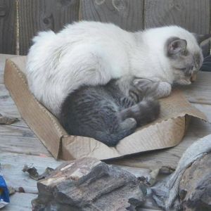 Meet your Posher, Paulamatt